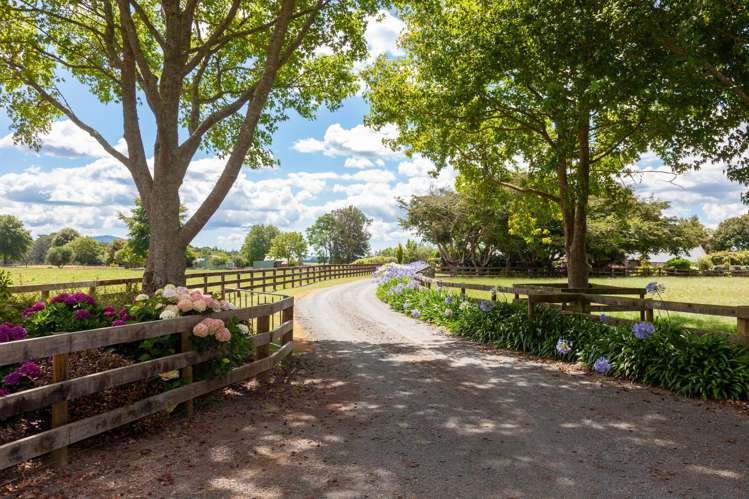 191 Taihoa South Road Matamata_35