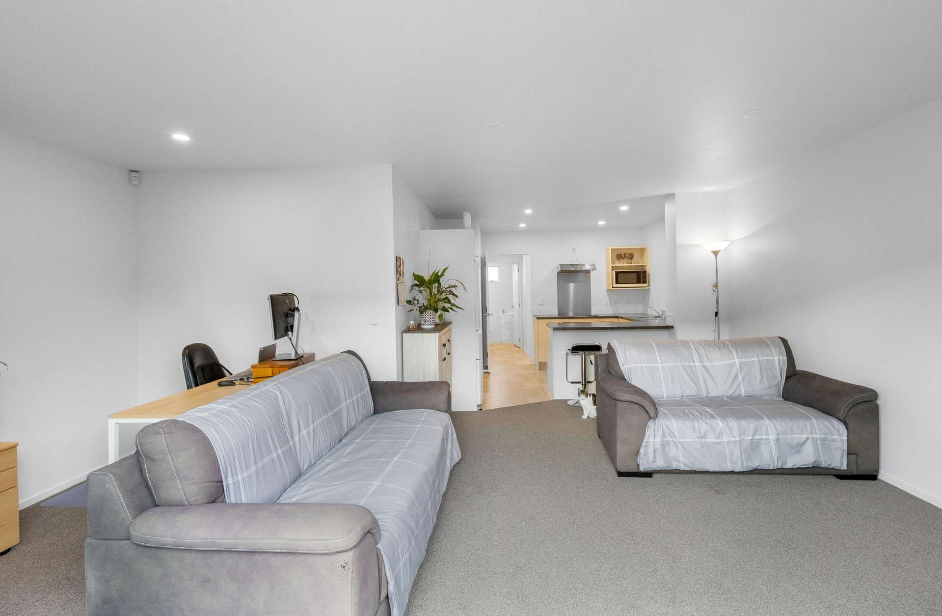 24b Buccleugh Street Phillipstown_0