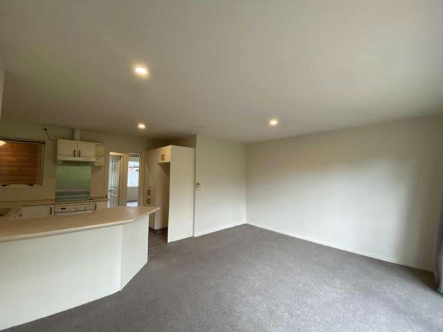 1/91 Peverel Street Riccarton_3