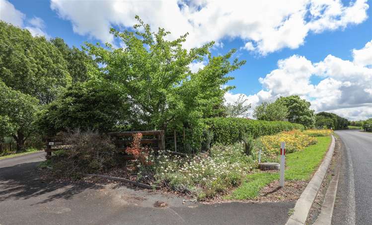 145 Hall Road Rangiriri_49