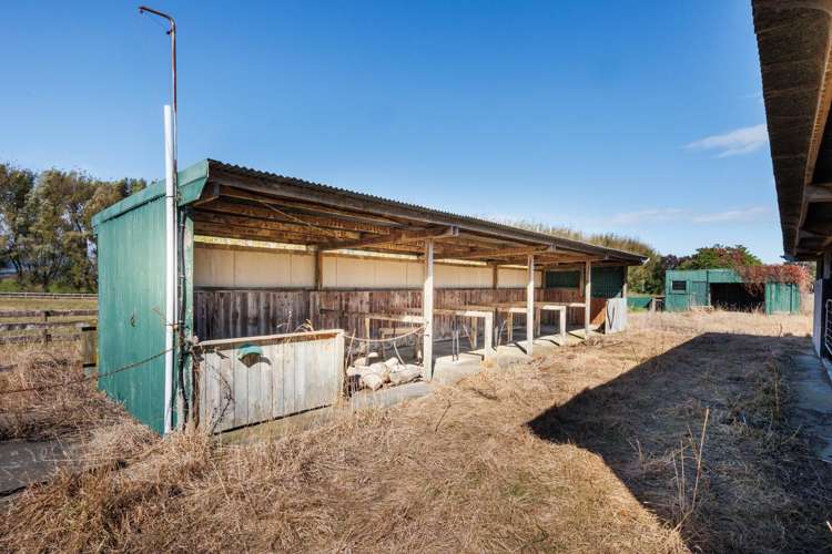 17 Carey Street Longburn_28
