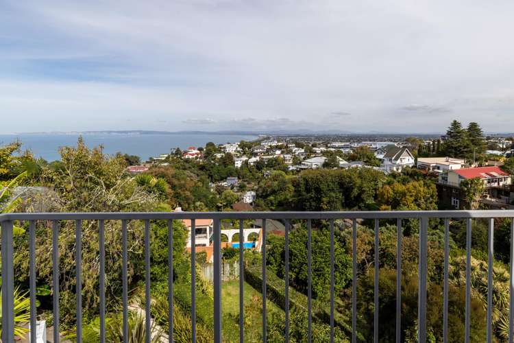 8 Lighthouse Road Bluff Hill_18
