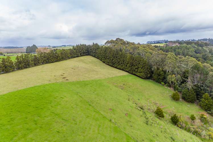 460 Pungaere Road Kerikeri Surrounds_26