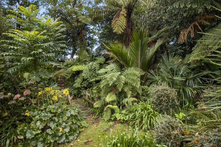 25 Gilmour Street Waihi_18