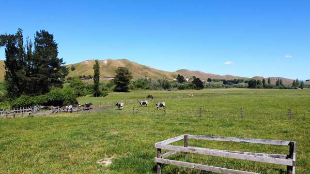 171 Tikokino Road Waipawa_3