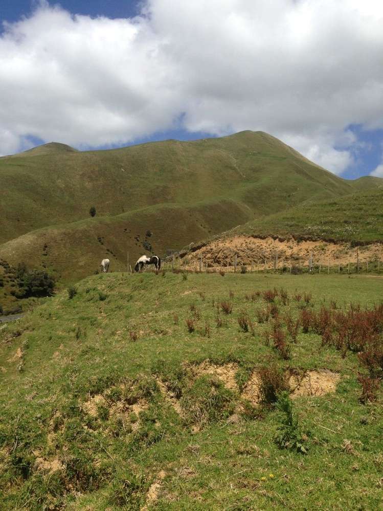 1445 Marokopa Road Marokopa_14