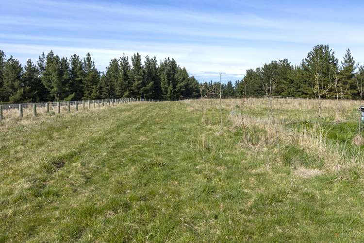 356 Downs Road Geraldine_6