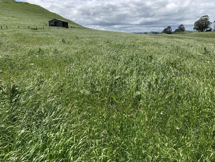 678 Bird Road Stratford_12