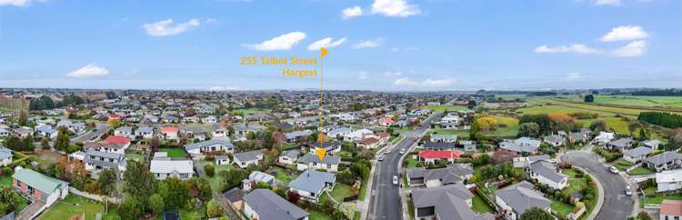 255 Talbot Street Hargest_34