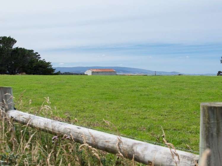 53 The Cliffs Tuatapere_34