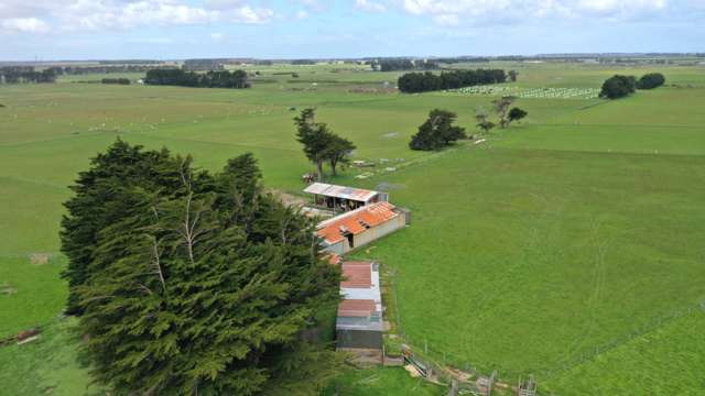 1233 Motu Rimu Road Woodend_3