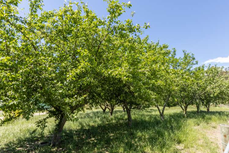 1212 Ohiti Road Crownthorpe_24