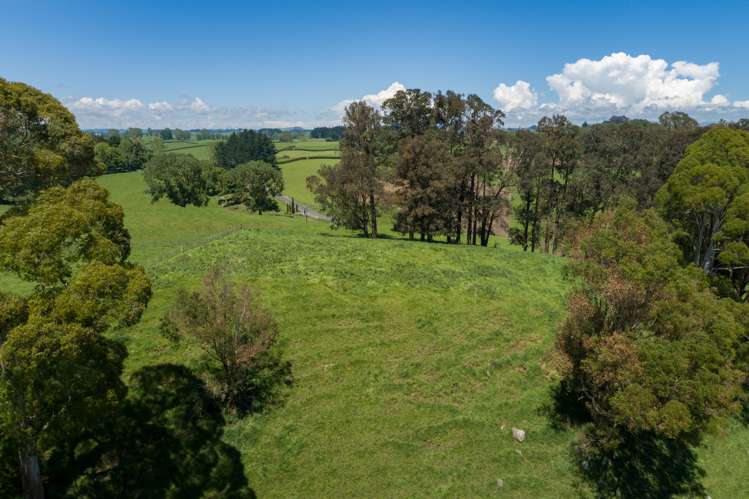 Waotu Road Putaruru_11