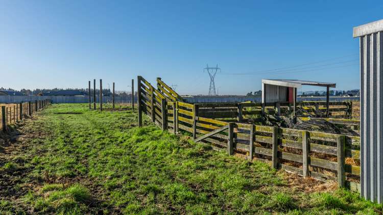 664 Weedons Ross Road West Melton_30