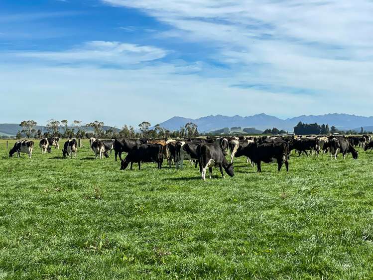 445 Aparima Road Otautau_2