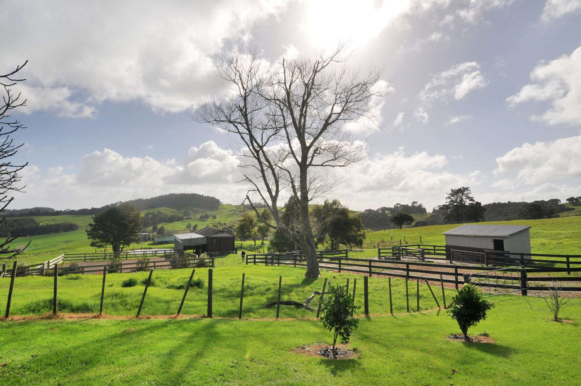 274 Partridge Road Wellsford_0