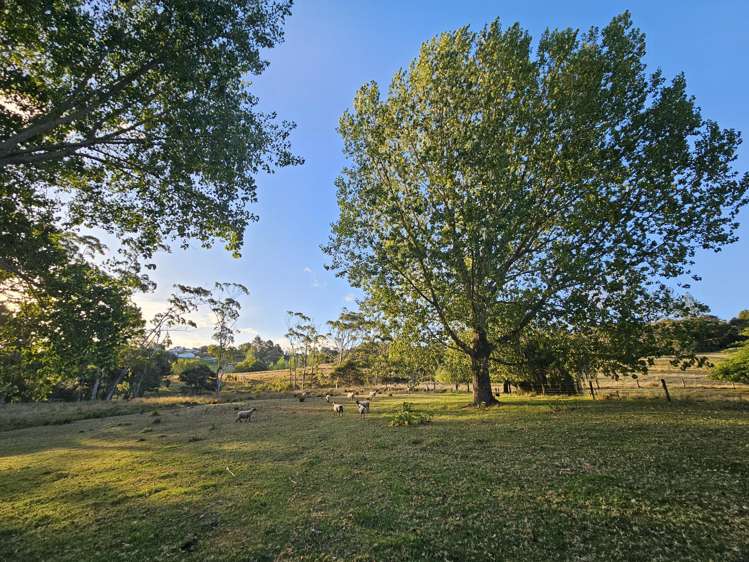 3 Potter Road Coatesville_1