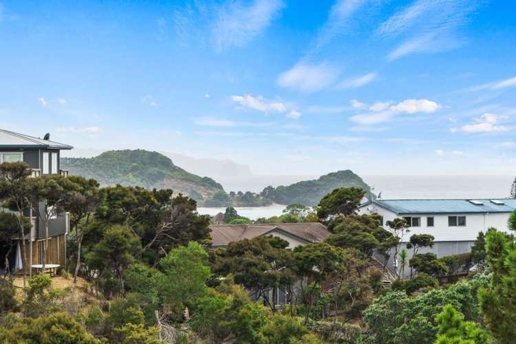 49 Greenview Drive Mangawhai Heads_29