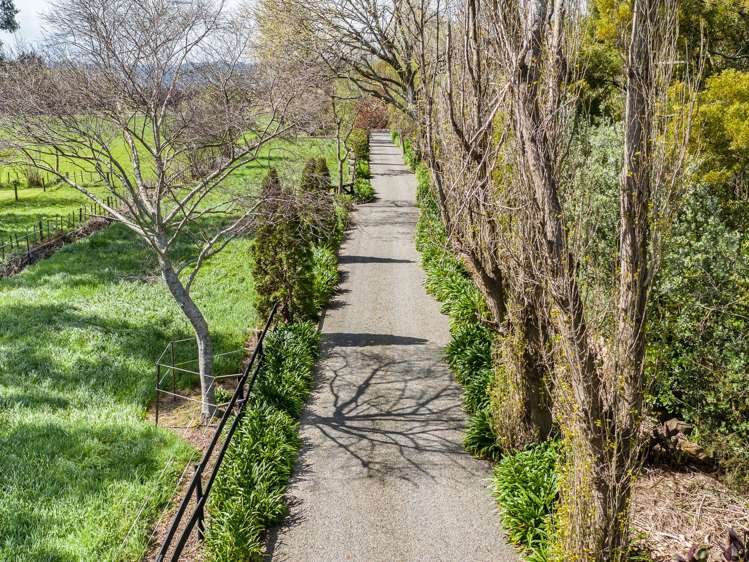 80 Avenue North Road Levin_25