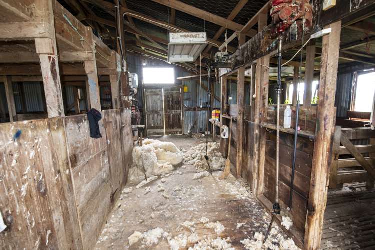 159 Koputaroa Road Levin_18