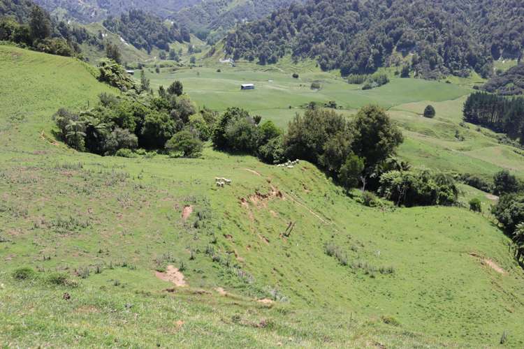 1099 Mataro Road Urenui_19