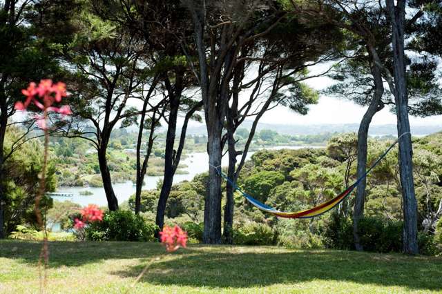 339 Wharau Road Kerikeri_3