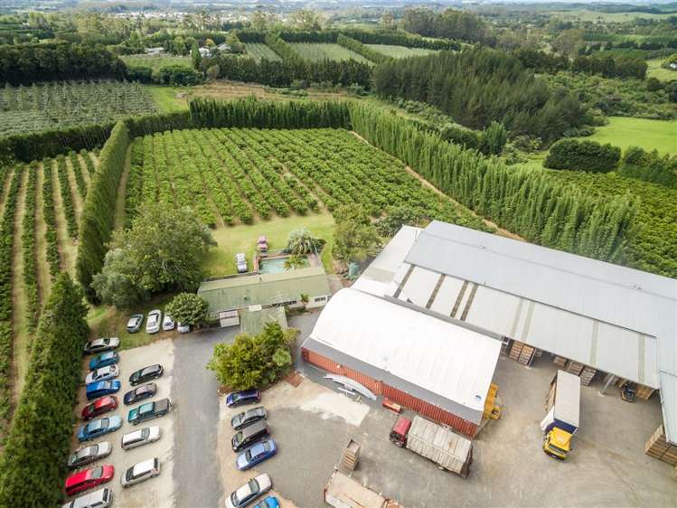 517 Kerikeri Road Kerikeri_14