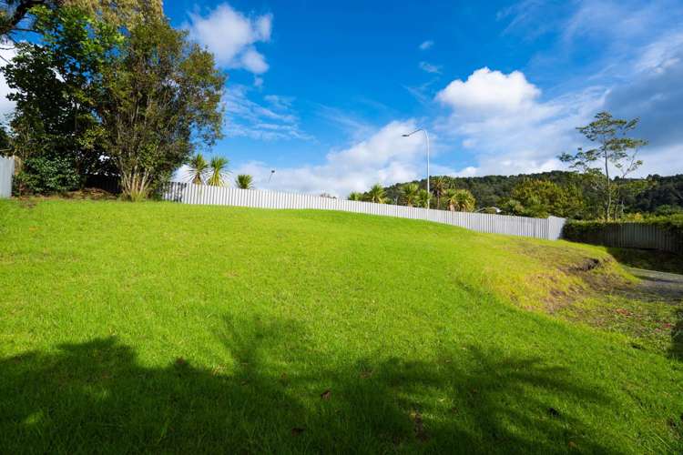 33c Kauika Road Avenues_4