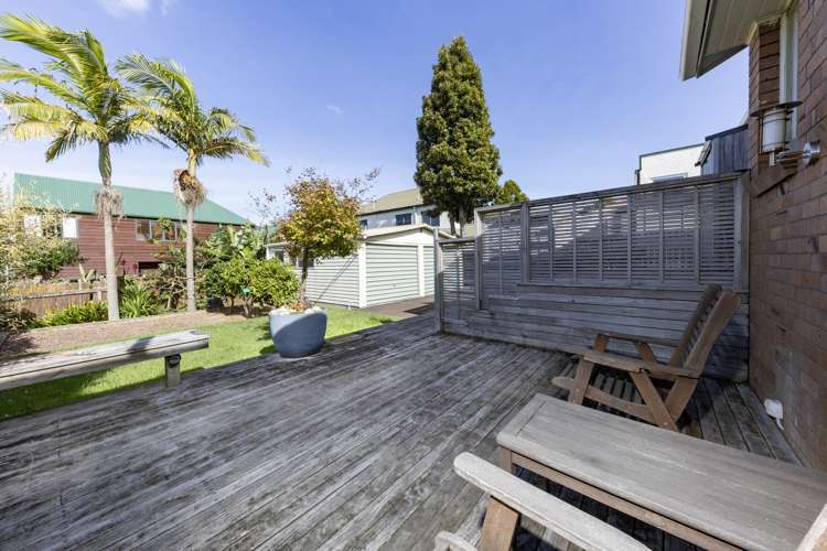 217 Campbell Road Greenlane_12