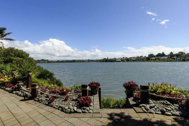 75 Turret Road Tauranga South_1