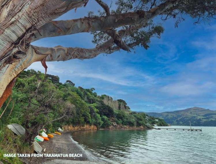 20 Quail Crescent Takamatua_23