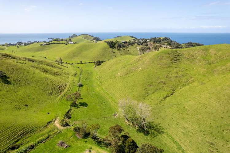 Lot 1 Rockell Road Whananaki_10