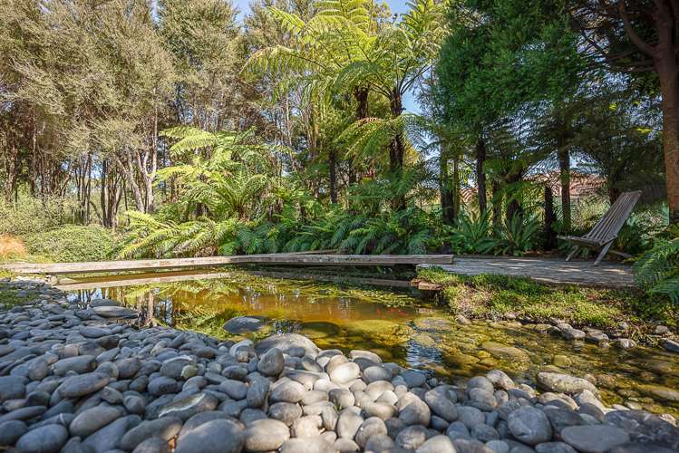 239 Redwood Street Witherlea_14