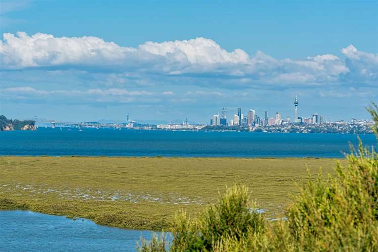 215 West Harbour Drive West Harbour_36