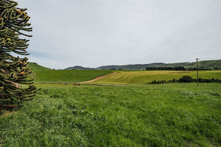 101 Logan Road Owaka Valley_3