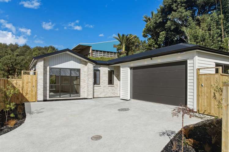 18 Rongoa Maori Way_0