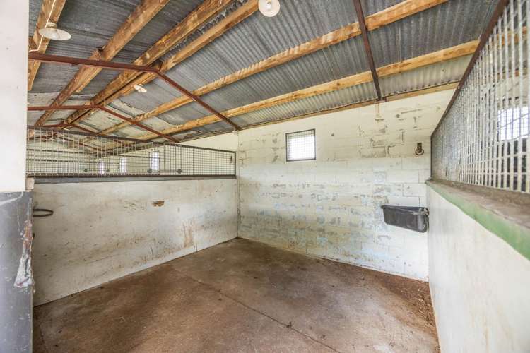 4602A State Highway 29 Matamata_13