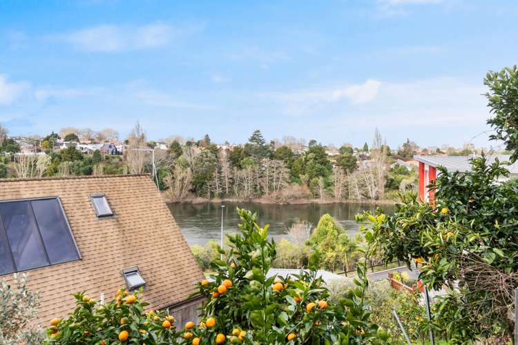 31 Hillsborough Terrace Hamilton Central_29