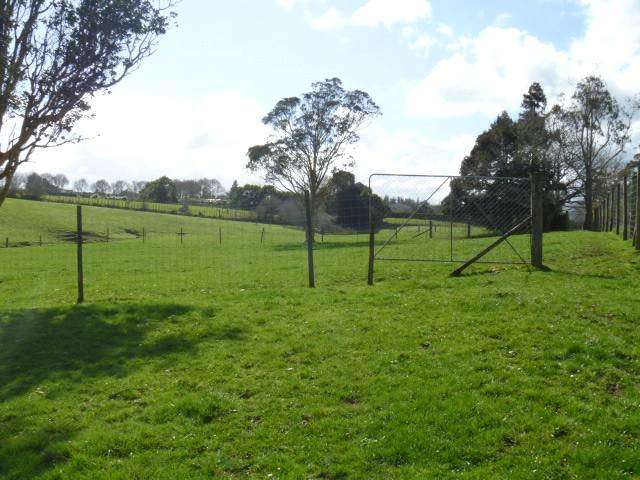 883 Runciman Road Drury_4