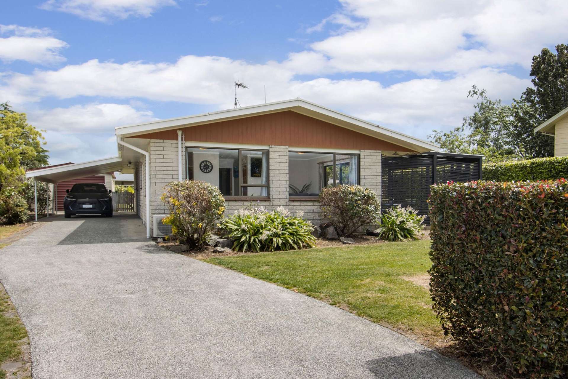 8 Francis Drive Katikati_0