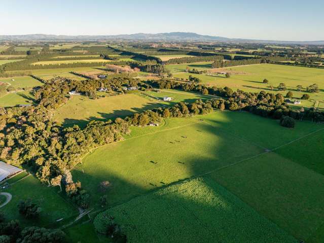 194D Underhill Road Greytown_3