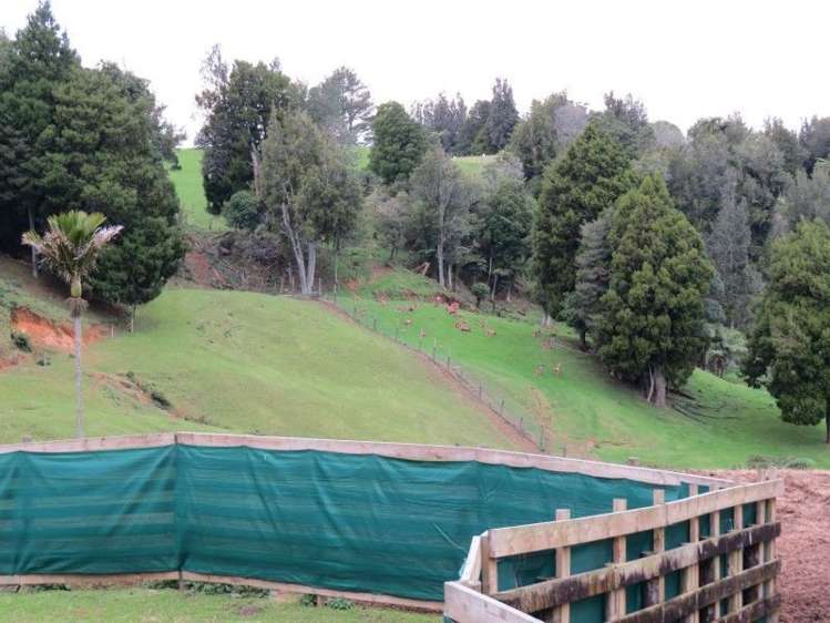 747a No 4 Road Te Puke_19