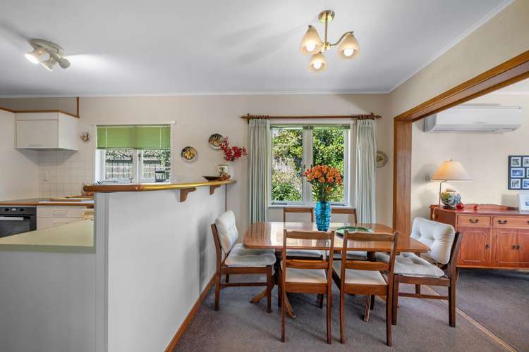 24 Spencer Terrace Hauraki_17