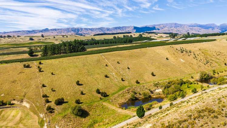 669 State Highway 63 Renwick_9