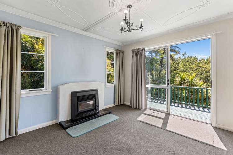 75 Mill Road Lower Vogeltown_10