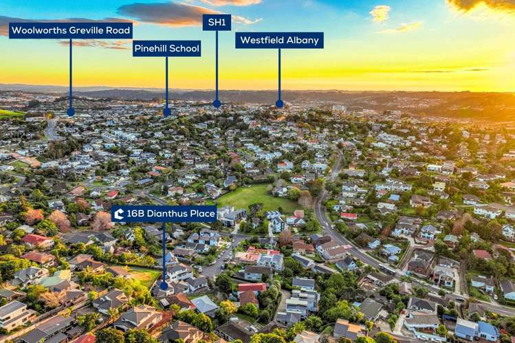 16B Dianthus Place Browns Bay_21
