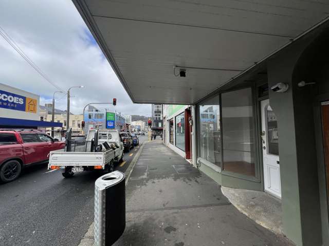 105 Vivian Street Te Aro_1