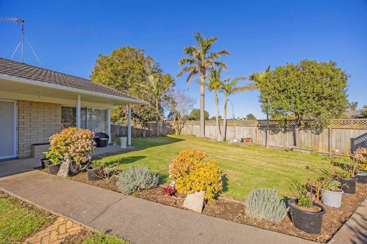21 Waimai Avenue Weymouth_16