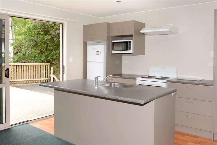 45c Lees Street Dunedin Central_2