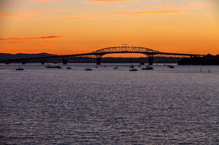 12 Second Avenue Stanley Point_25